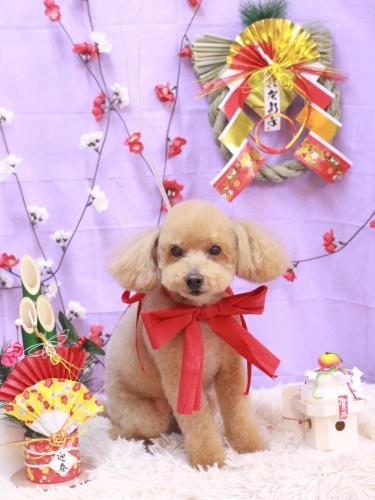 20230129のえるくん